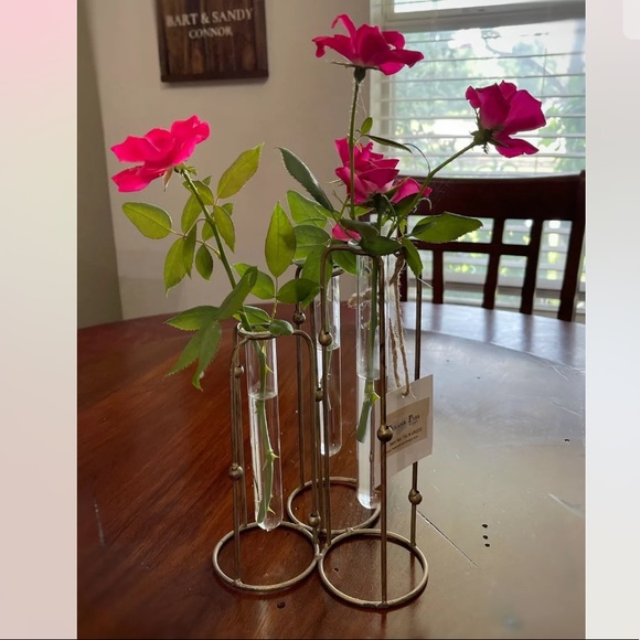 Gold Metal Hinged 3 Glass Test Tubes Vase Set. - Picture 4 of 13